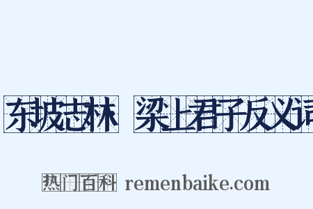 东坡志林·梁上君子反义词是什么意思的图片